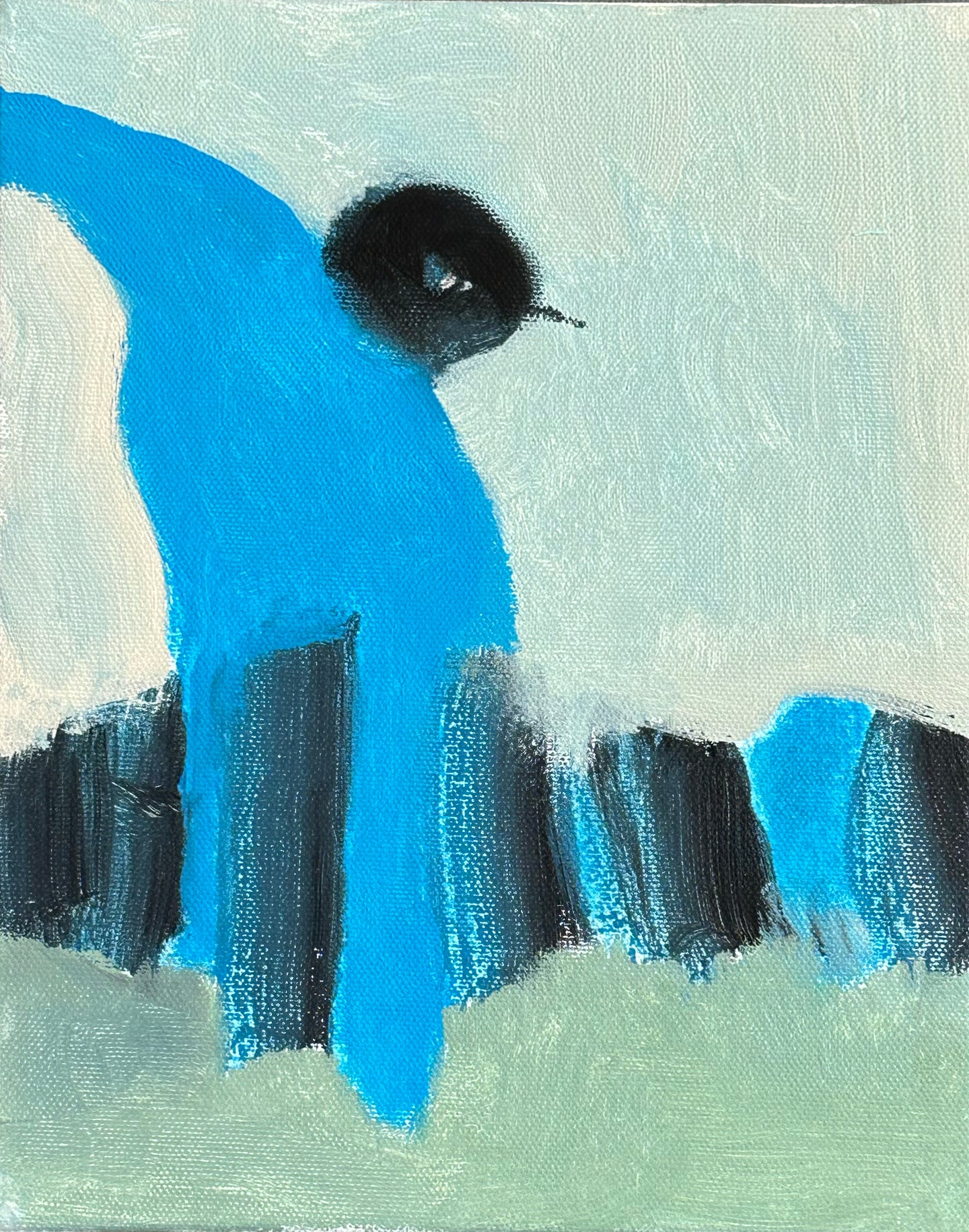 Blue Bird #3 8x10 ©9/14