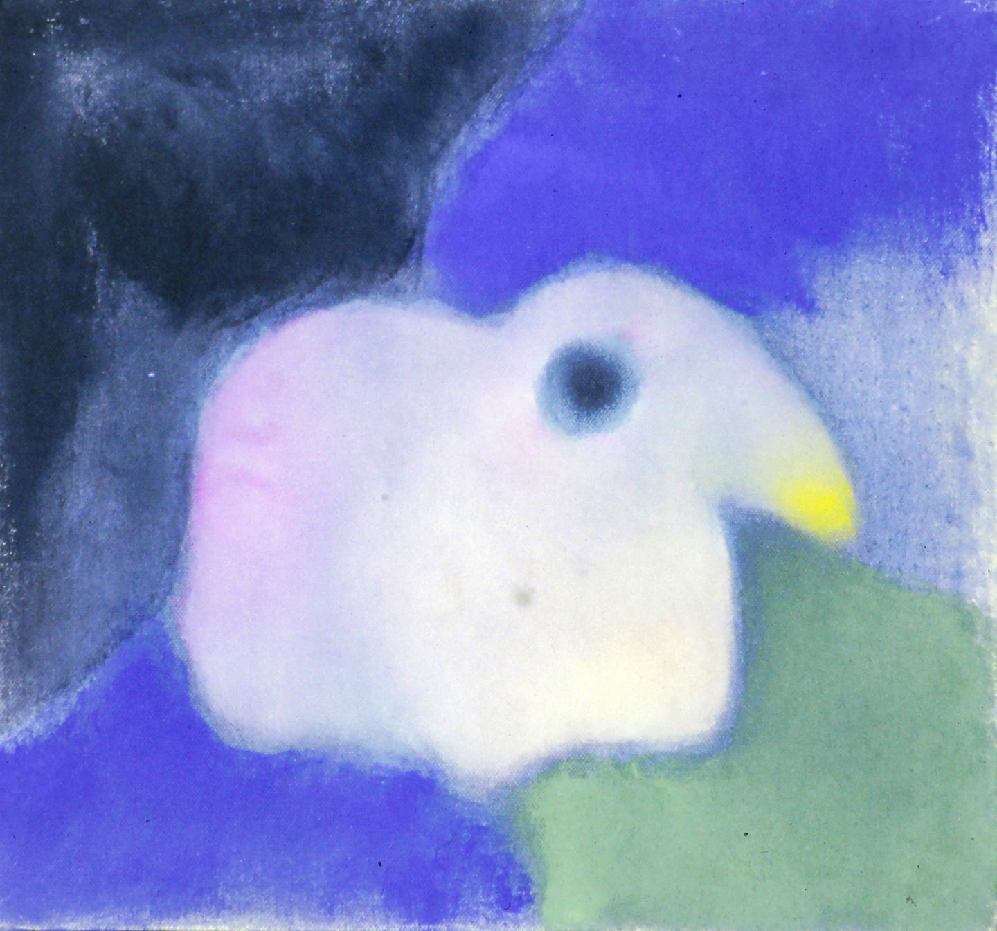 AA - Baby Bird Unable to Sleep II © 1992 15 x 13 fine art print