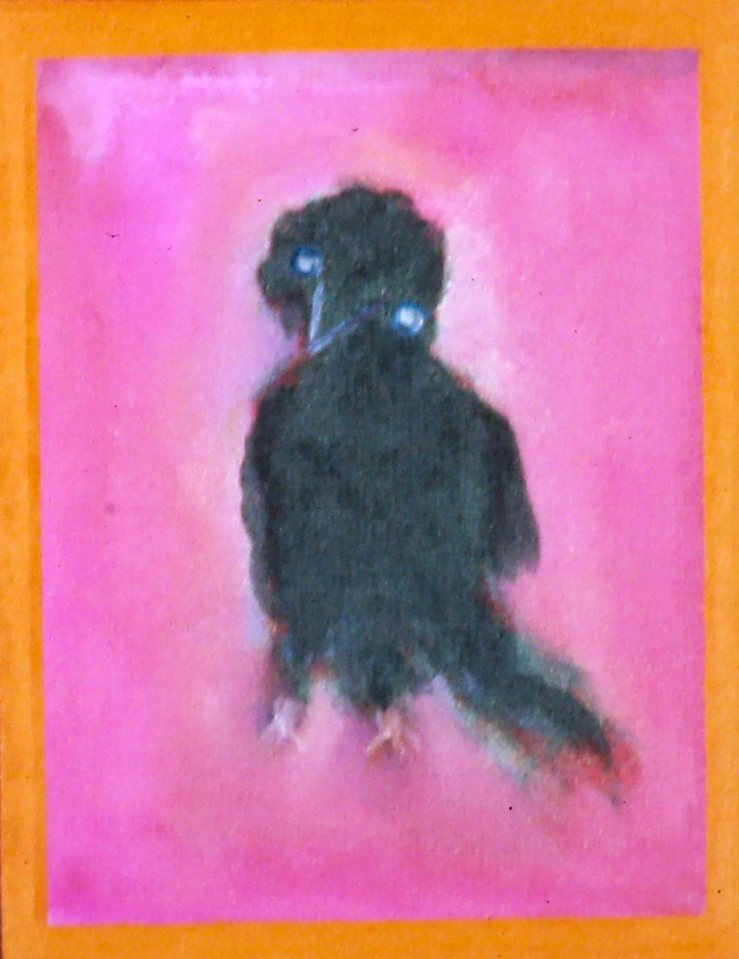 AA - Baby Raven © 1995 15 x 12 fine art print
